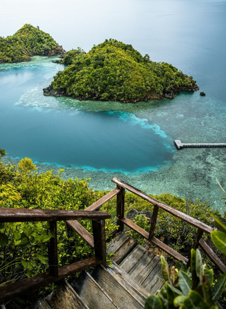 Raja Ampat 라자암팟