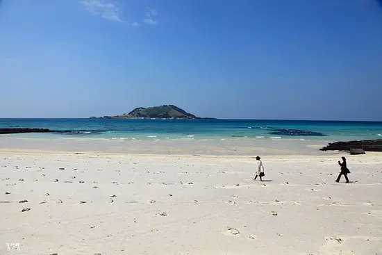 제주도 스쿠버다이빙 완전 정복: 초보자를 위한 필수 가이드 (체험, 자격증, 포인트 총정리) 2 협재 해수욕장과 비양도 모습